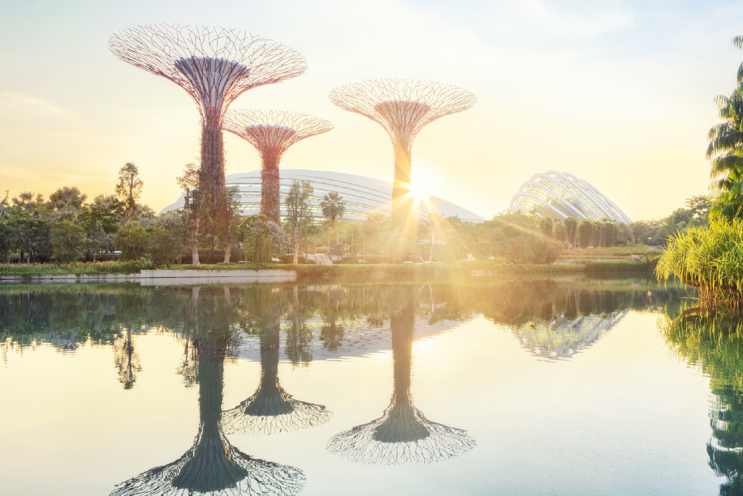 Singapore’s Gardens By The Bay