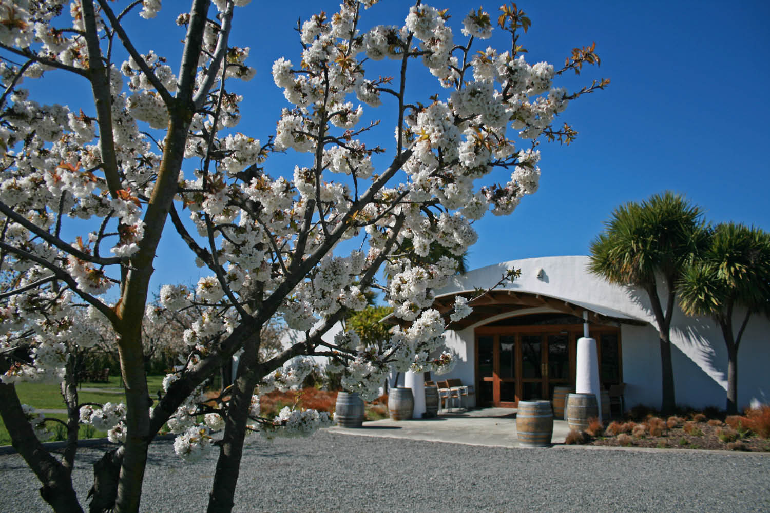 Eat, play and stay in New Zealand’s famous wine regions