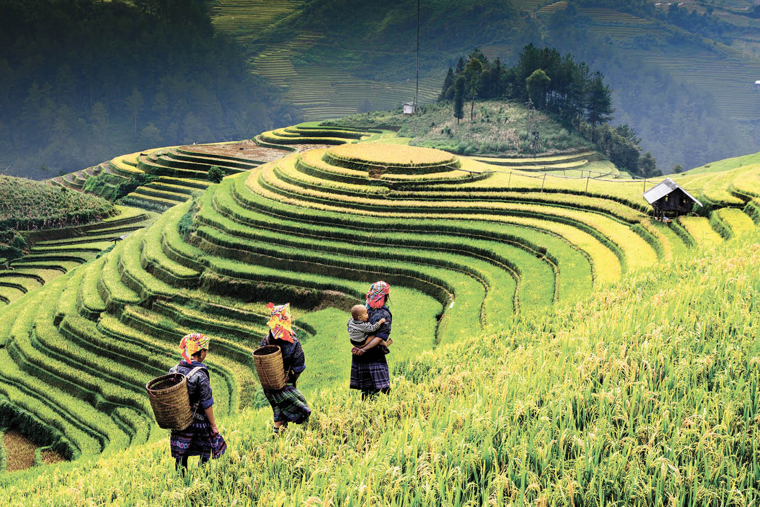 The Insider s Guide To Indochina International Traveller