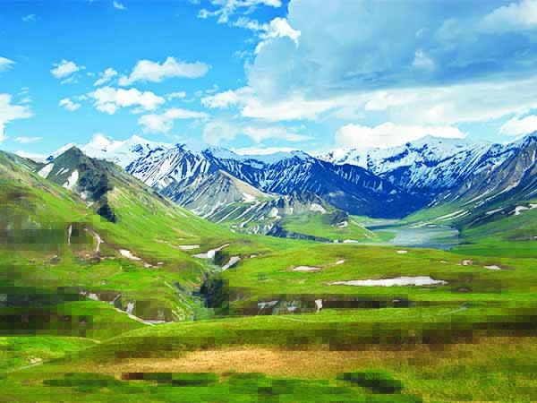Danali National Park