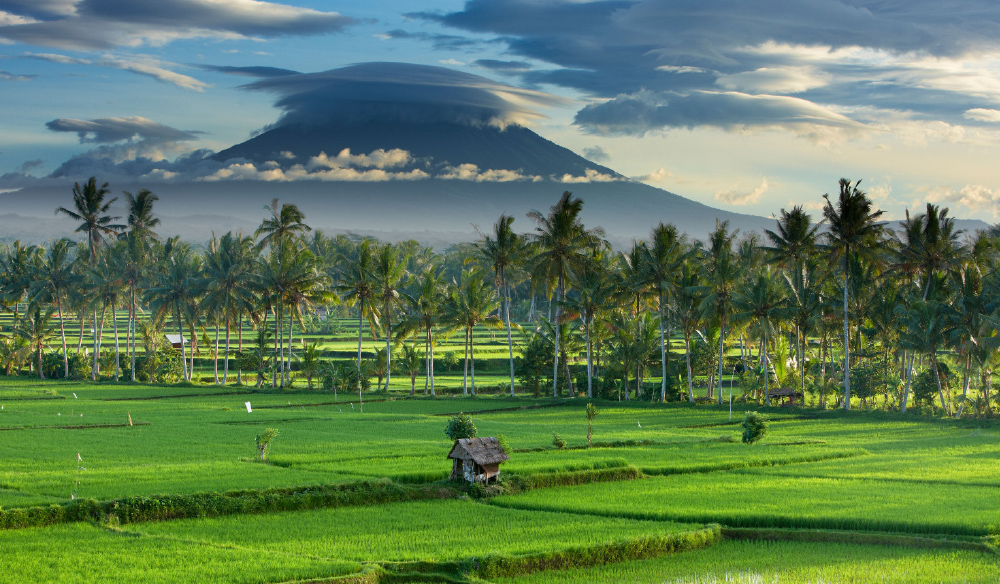 How to spend 48 hours in Canggu, Bali
