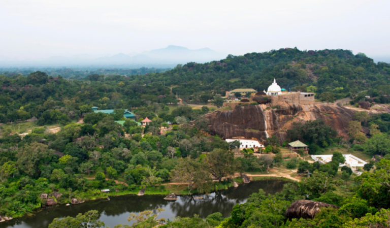 Everything You Need To Know About Yala National Park