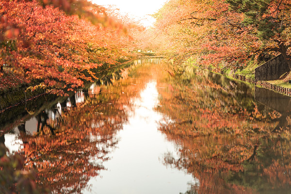 Hirosaki Castle river and trees