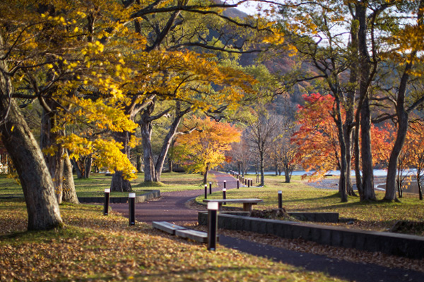 Lake and walking path