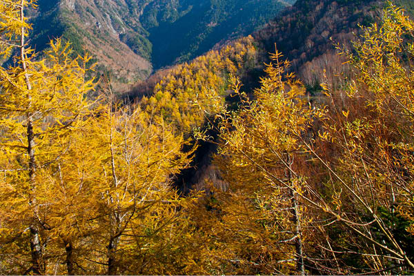 Tobu Railway