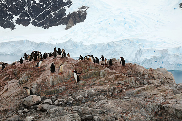 Antarctica