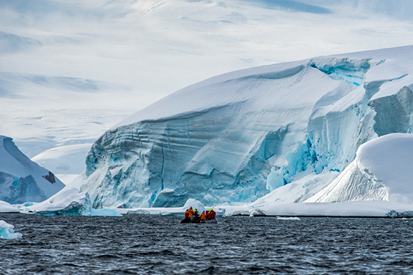 Antarctica Cruise: 20 Reasons To Add It To your Bucket List