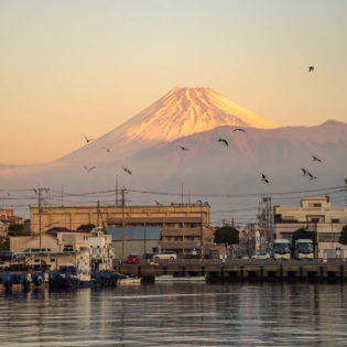 8 Ways to experience Mt Fuji without hiking