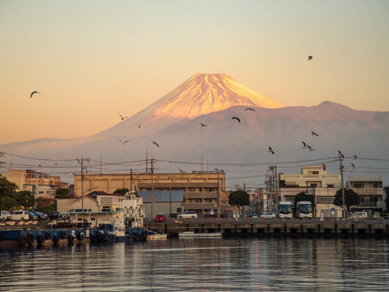 8 Ways to experience Mt Fuji without hiking