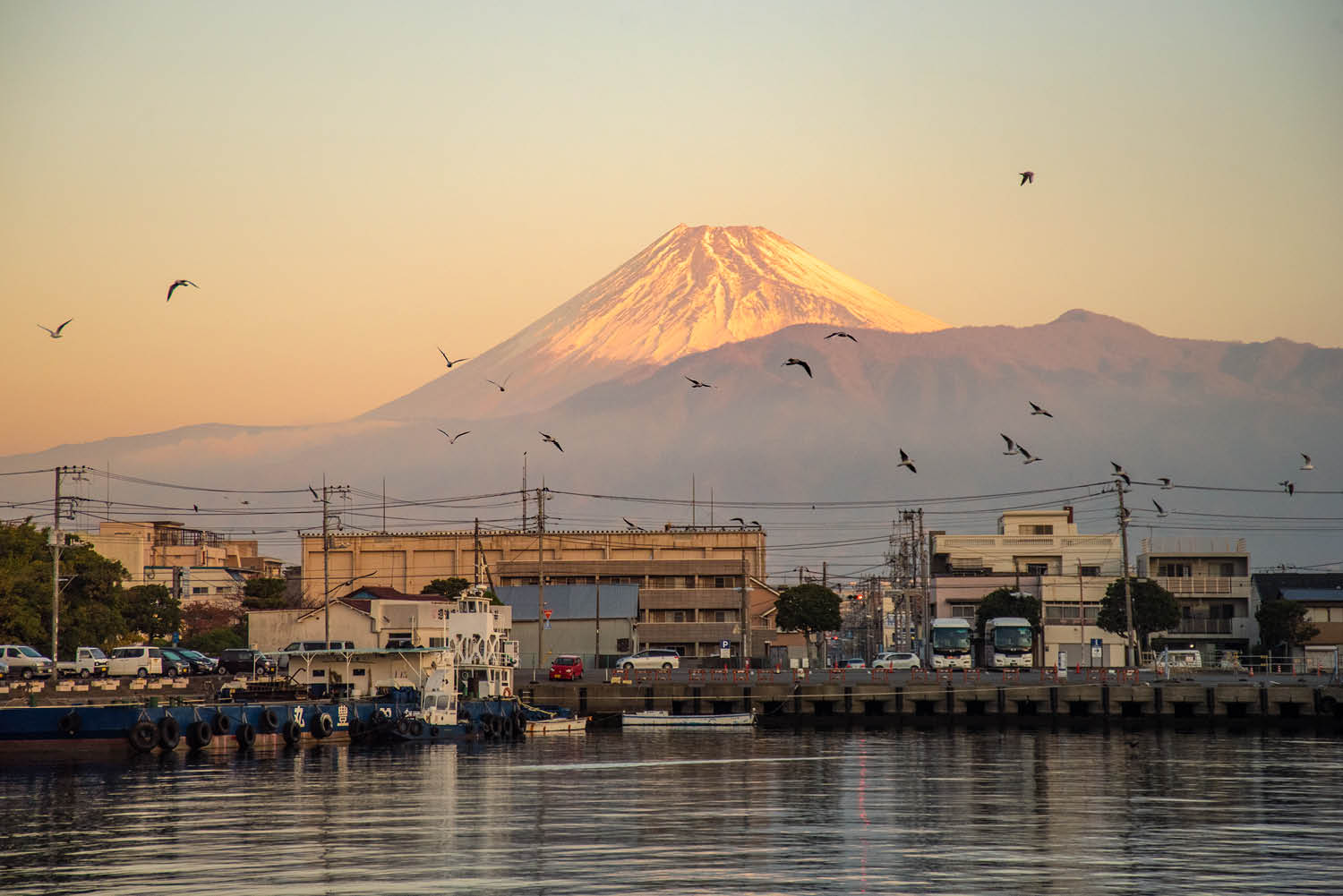 Japanese Mount Fuji In May