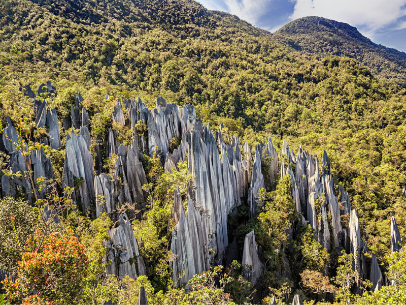 The ultimate Gunung Mulu National Park travel guide