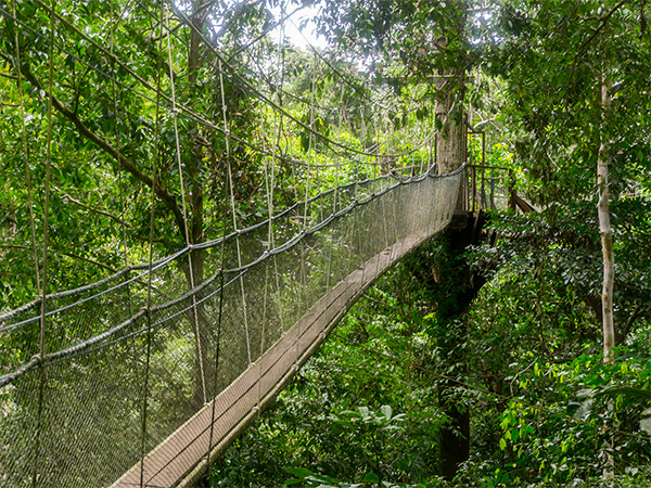 The Ultimate Gunung Mulu National Park Travel Guide