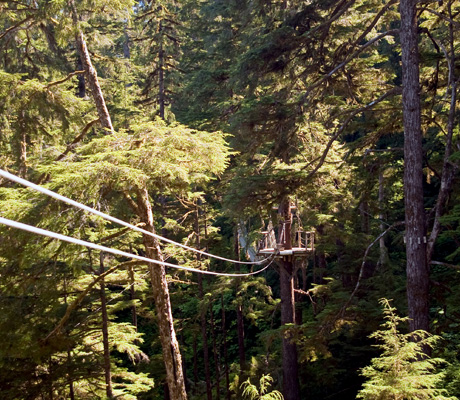 Zipline tour Alaska