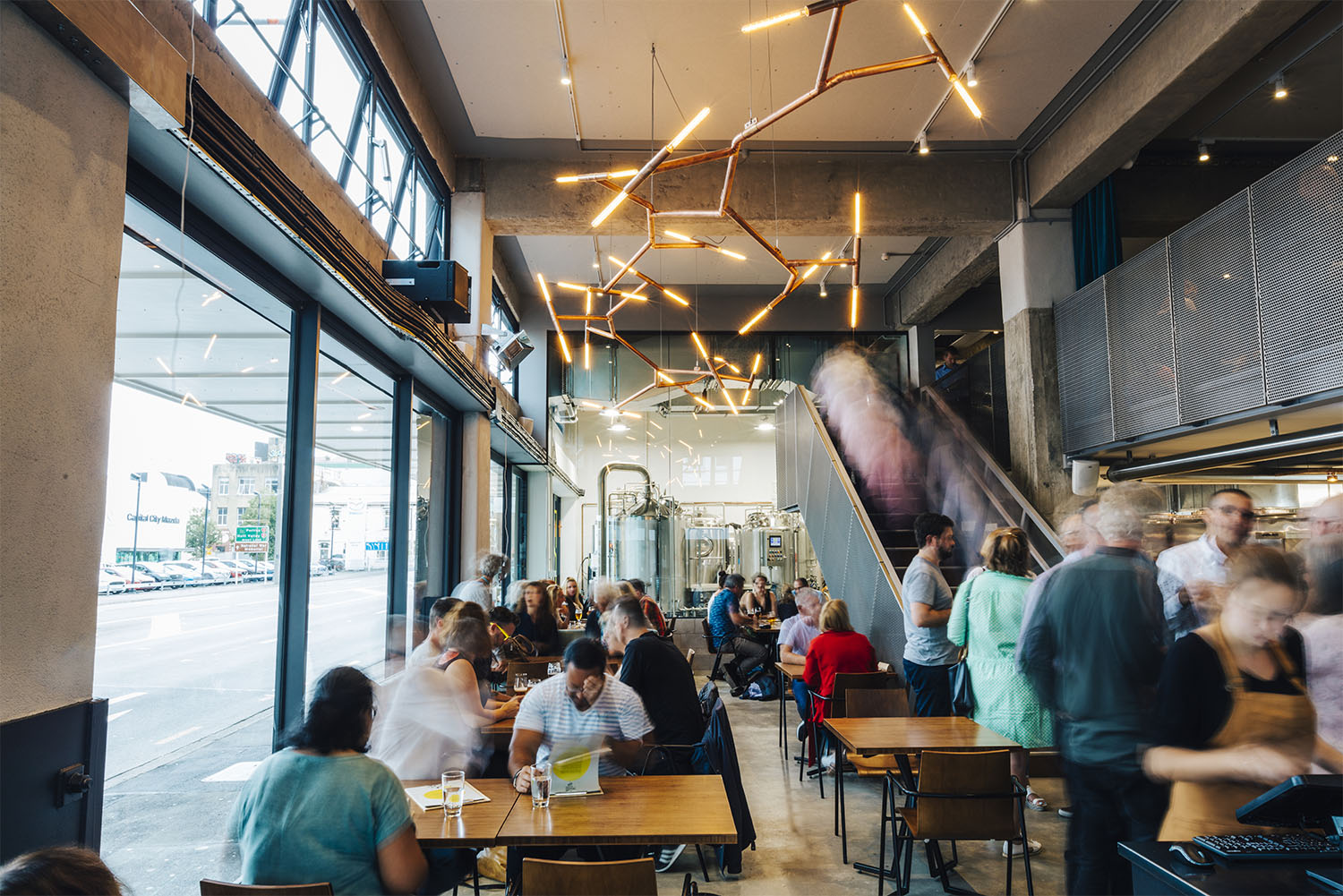 What To Do When It Rains In Wellington, NZ International Traveller