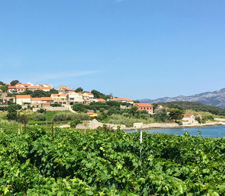 Korcula Island