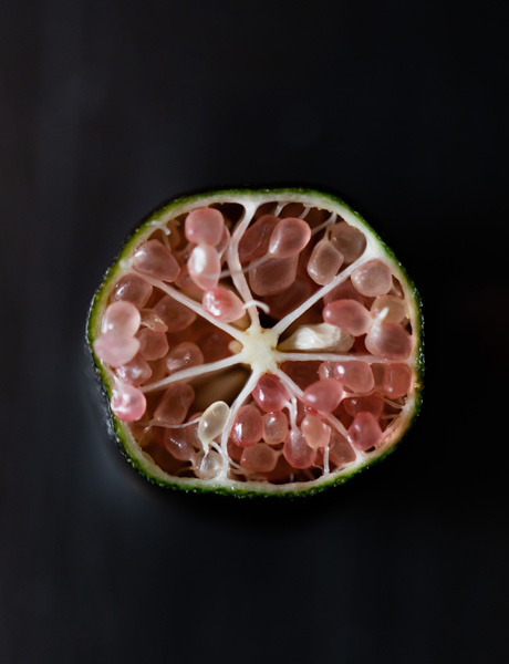 Finger Lime, Bikini restaurant and bar