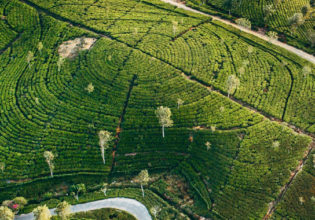 Sri Lanka Travel Guide