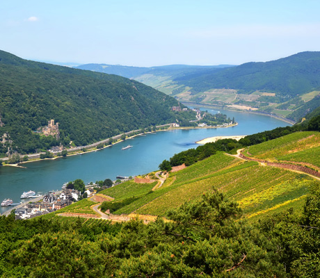 Europe Cruising