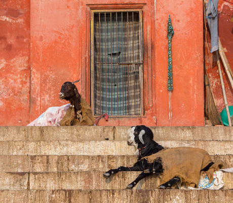 Assi Ghat, Varanasi