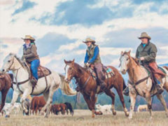 Dude-Ranch-USA