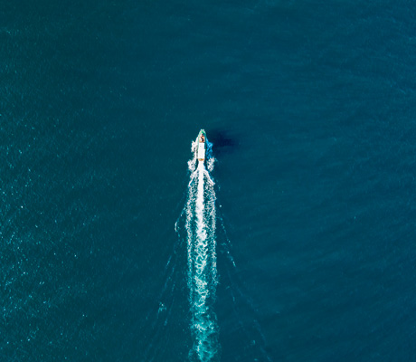 Cruise travel insurance