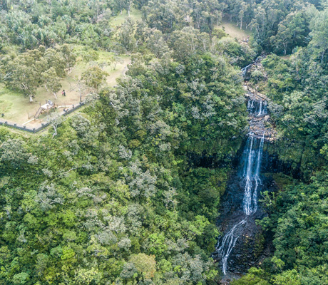 Things to see and do in Mauritius