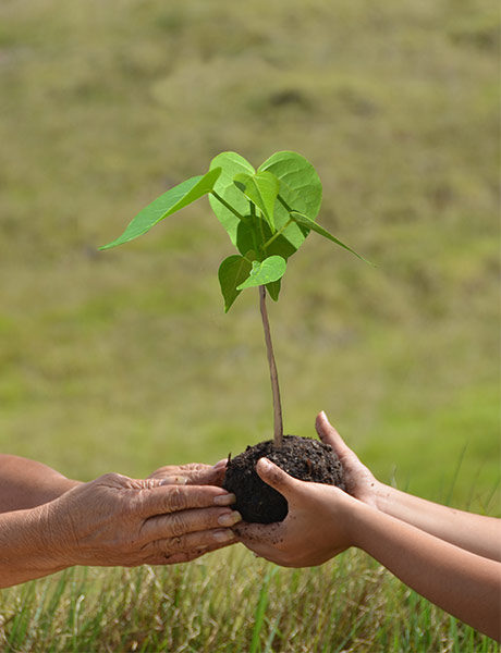 Kahala-KISCO-program