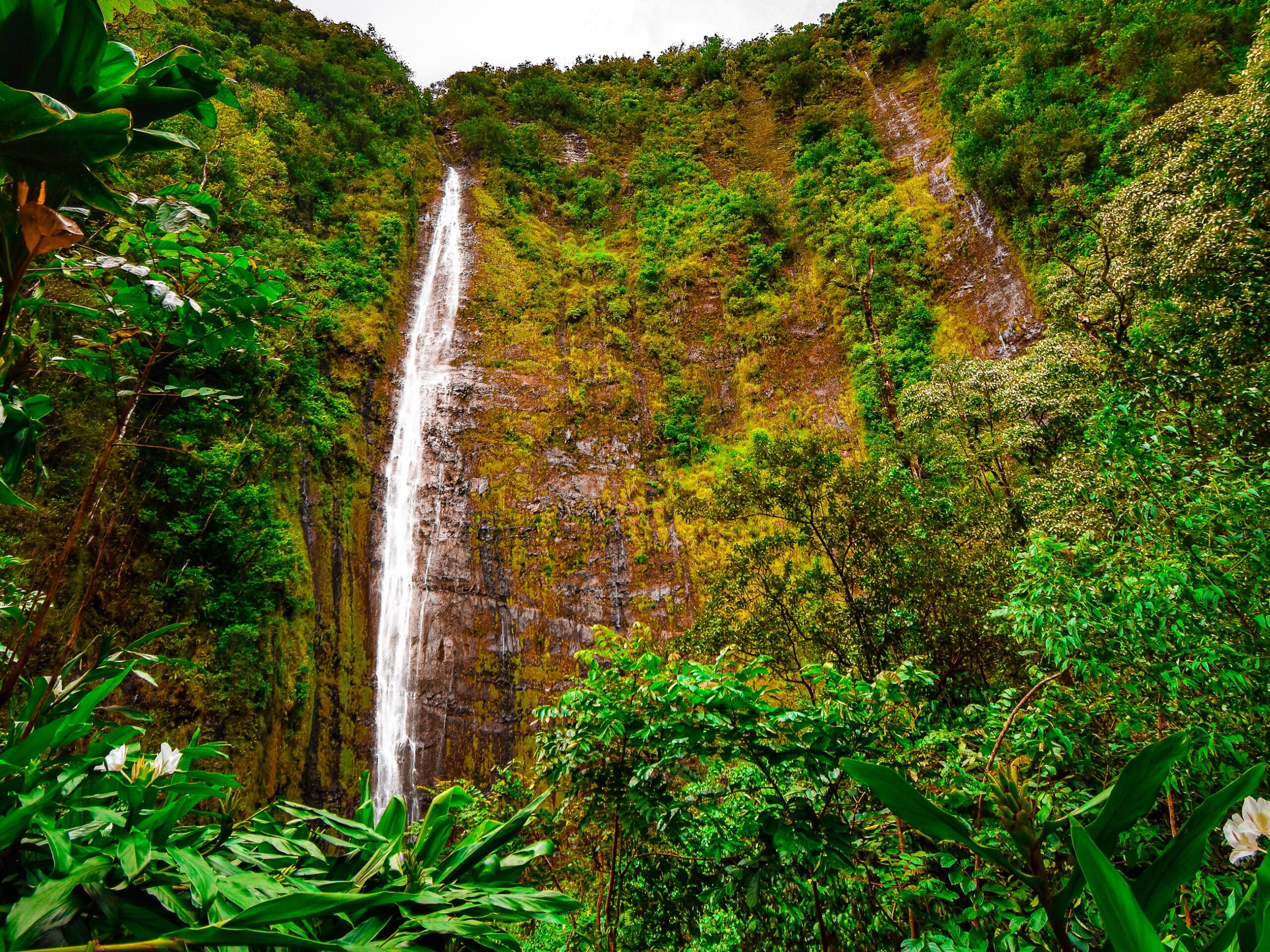 Waimoku Falls at Pīpīwai trail in Maui