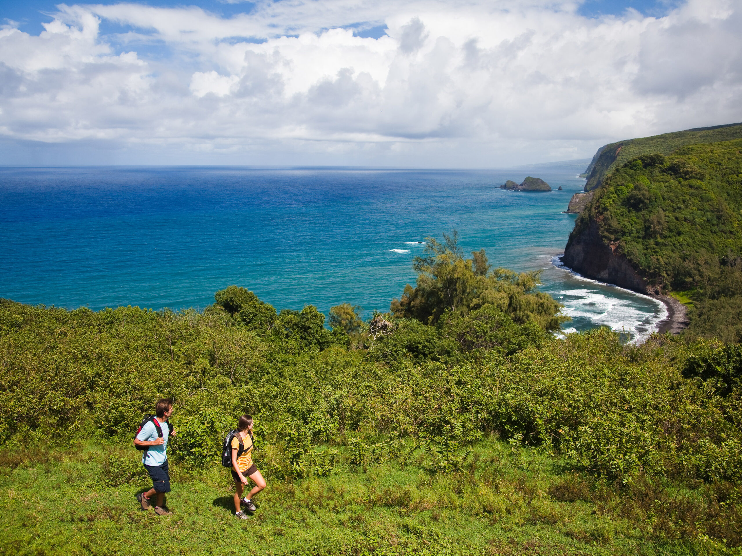 hiking the Pololū Valley Lookout Trail