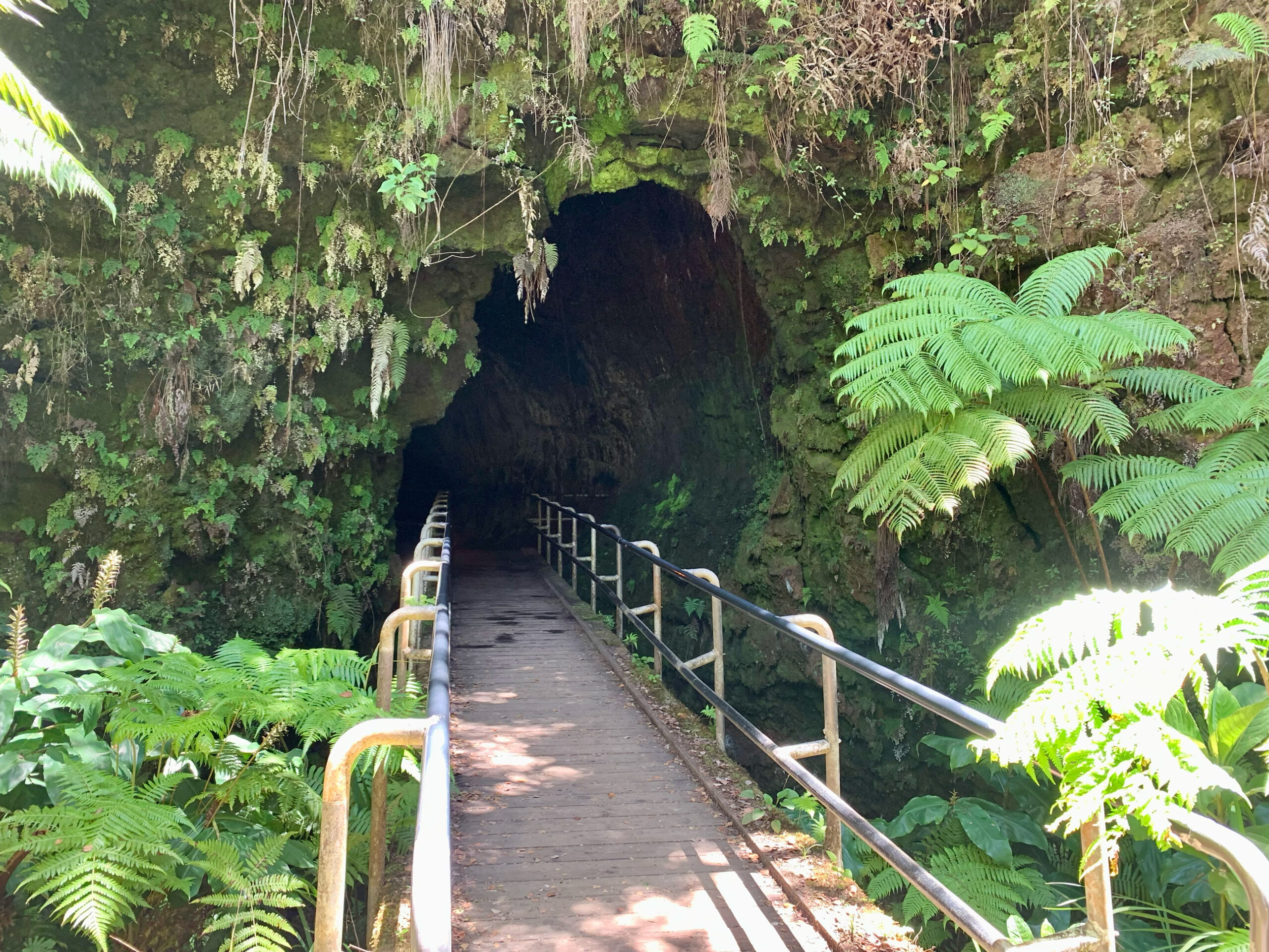 Nahuku Thurston Lava Tube in Hawaii Volcanoes National Park