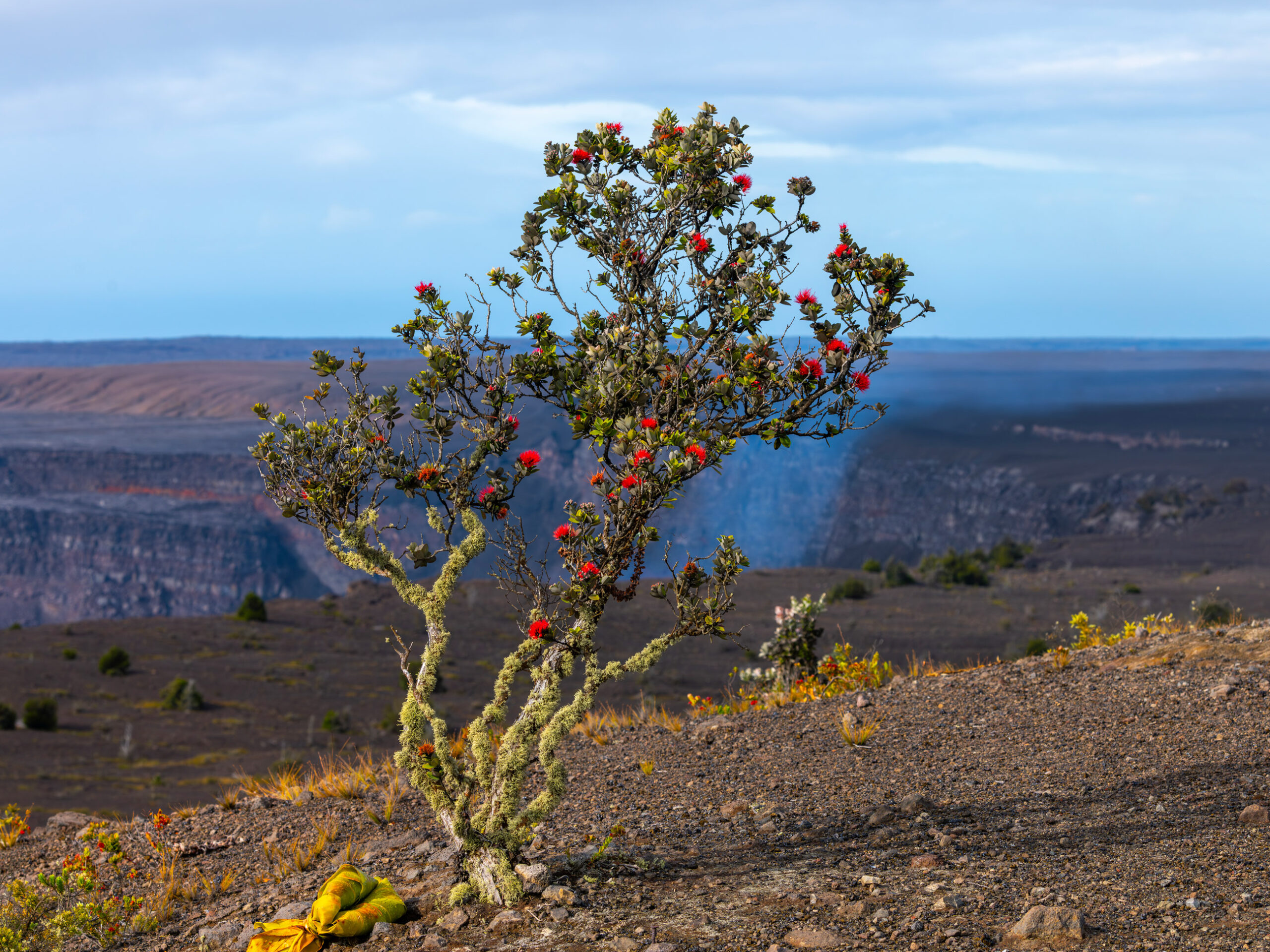 Halemaʻumaʻu Crater in Hawaiʻi Volcanoes National Park