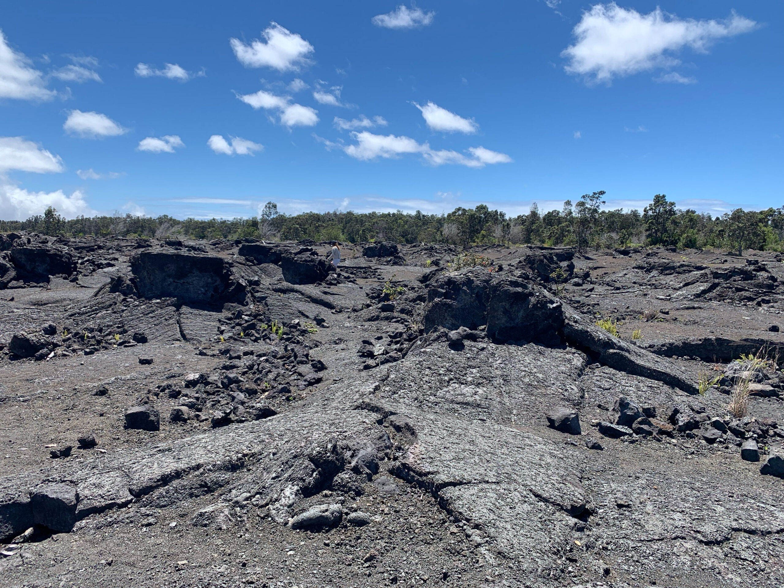 Chain of Craters Road in Hawaii Volcanoes National Park