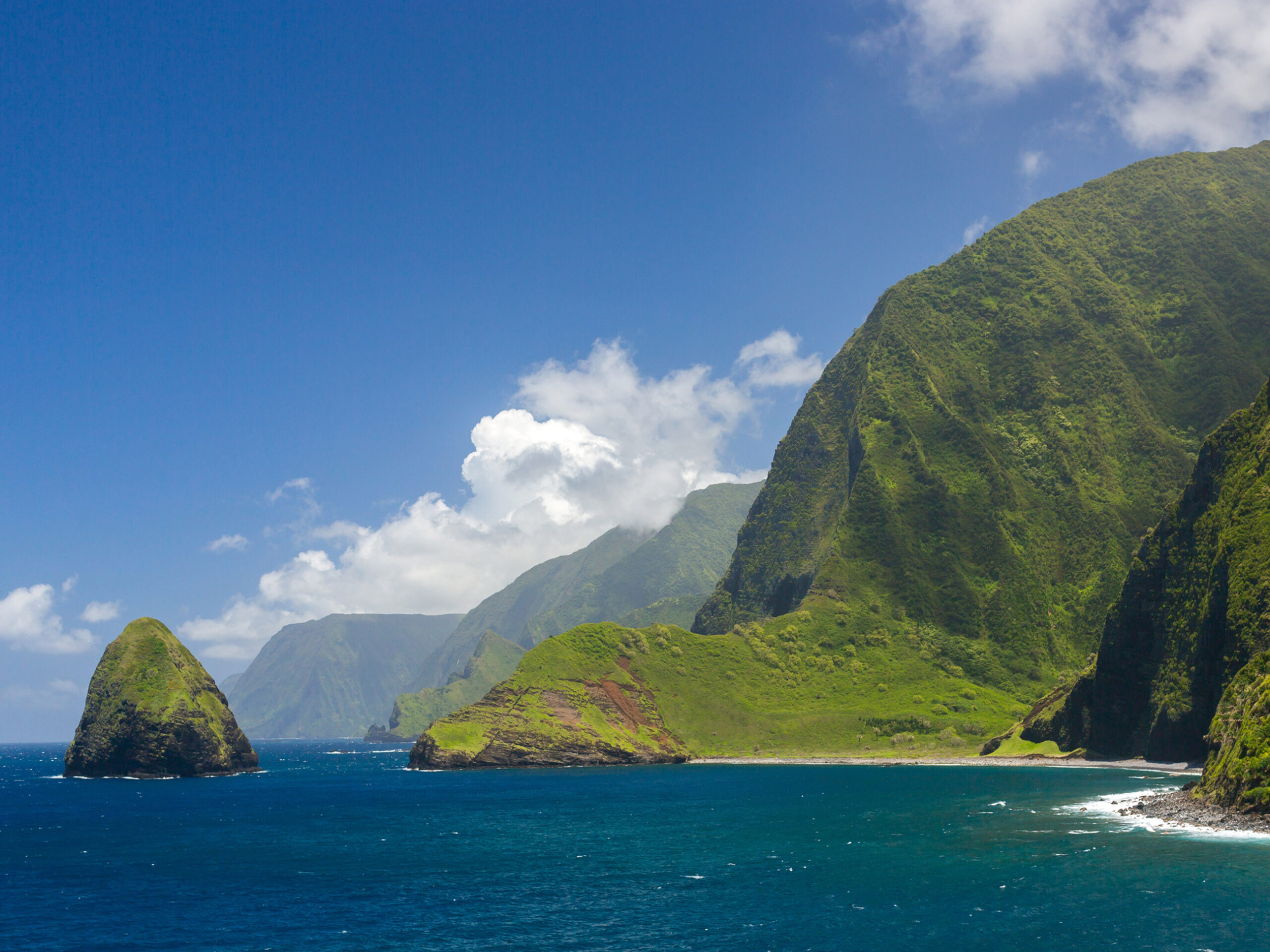 sea cliffs of Moloka’i