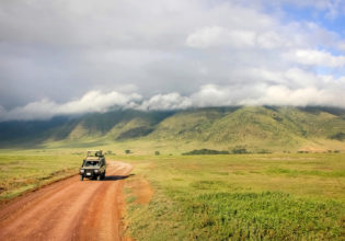 Why you should consider a safari without The Big Five
