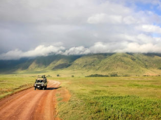 Why you should consider a safari without The Big Five