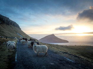 Faroe Islands Landscape