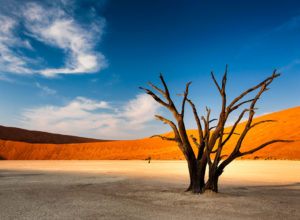 Deadvlei, Sossusvlei