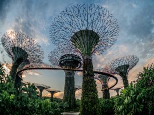 Top 10 things to see and do in Singapore