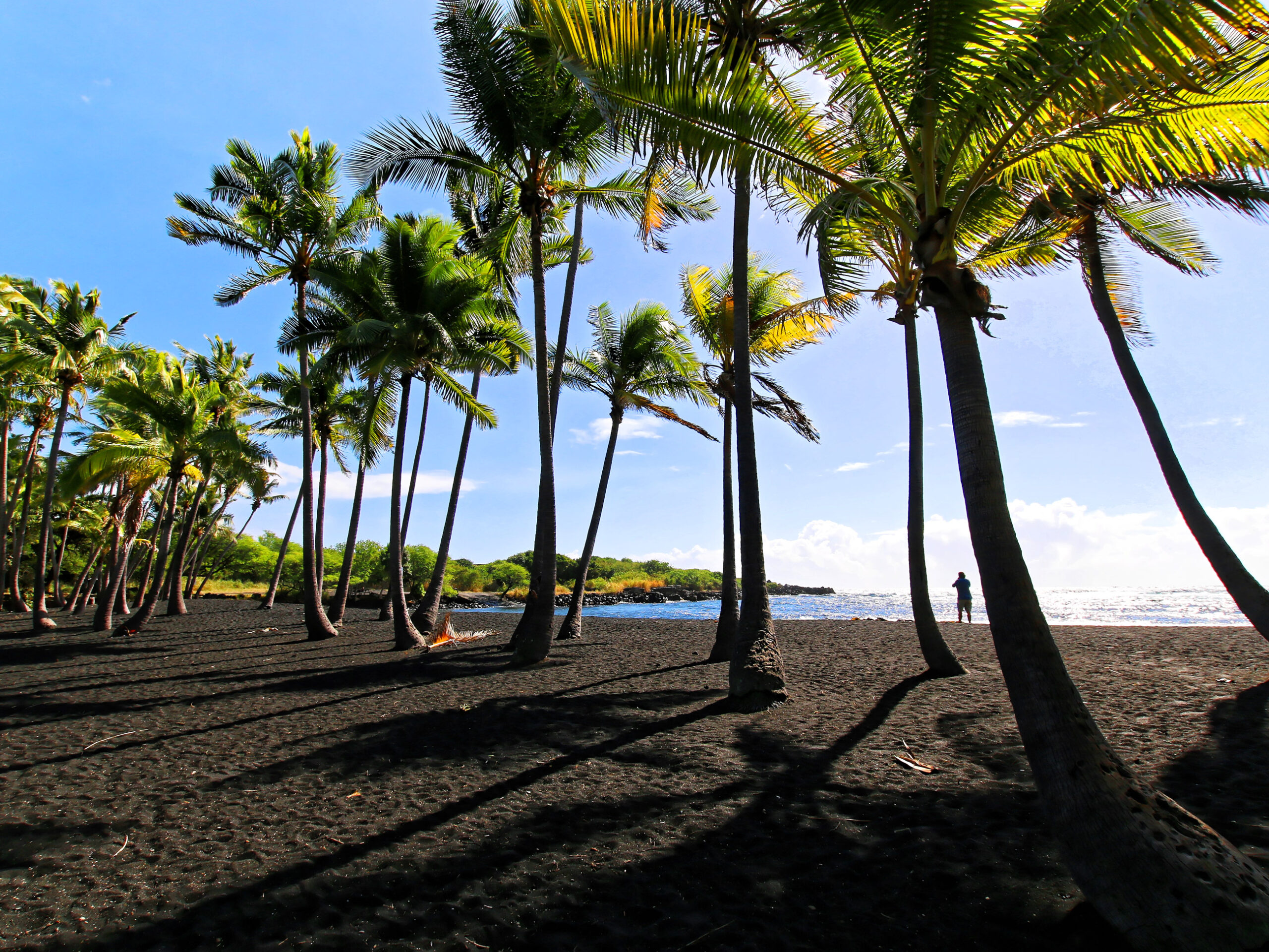 Punalu'u black sand beach on Big Island Hawaii