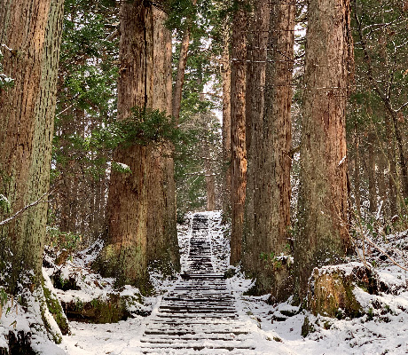 Dewa Sanzan shrine, Tohoku