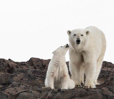 Franz Josef land
