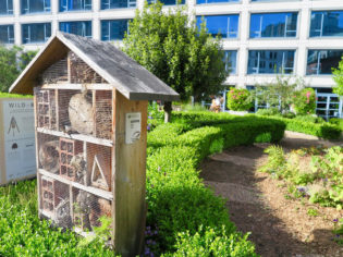 Bee Hotel Vancouver