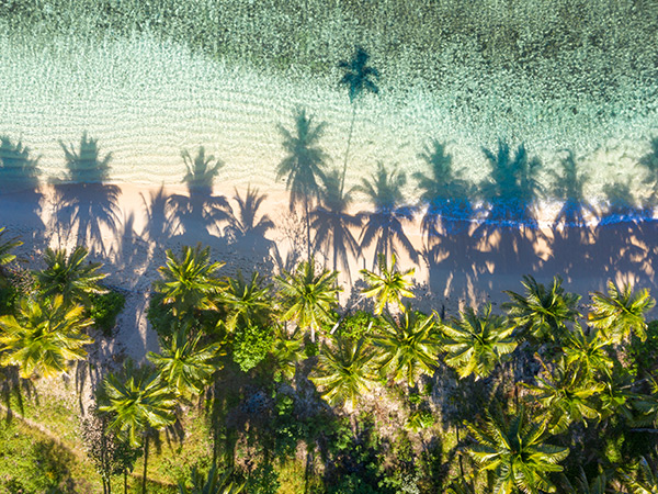 Fiji beach aerial