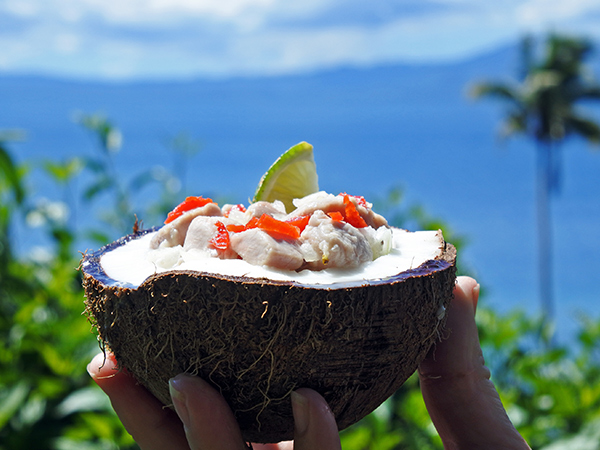 Fijian Kokoda