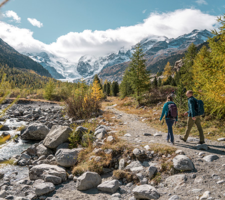 Morteratsch Glacier Walk, Bernina Express, Switzerland