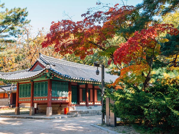 Visit Jongmyo Shrine