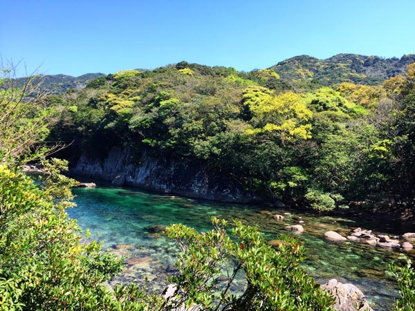 Yakushima Island