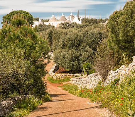 Trulli town, Apulian country, Italy