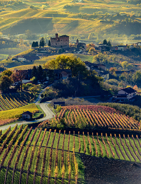 The Langhe and Roero district, Italy