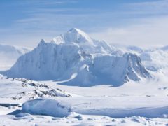 insider guide to Antarctica.